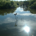 DSCF0120.JPG