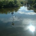 DSCF0121.JPG