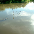 DSCF0123.JPG