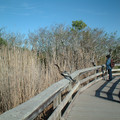 DSCF0124.JPG