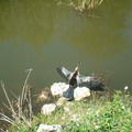 DSCF0125.JPG