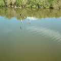 DSCF0127.JPG