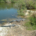 DSCF0128.JPG
