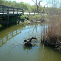 DSCF0132.JPG