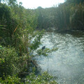 DSCF0137.JPG