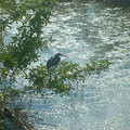 DSCF0139.JPG