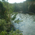 DSCF0143.JPG