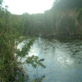 DSCF0149.JPG