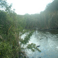 DSCF0153.JPG