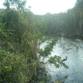 DSCF0155.JPG
