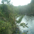 DSCF0156.JPG