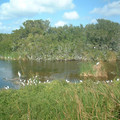DSCF0161.JPG