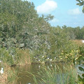 DSCF0181.JPG