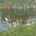 DSCF0187.JPG