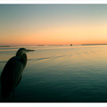 DSCF05555555555555555017.jpg