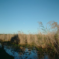 moon_01.jpg