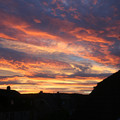IMG_2454_large.JPG