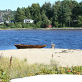 IMG_2534.JPG