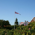 IMG_2537.JPG