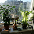 IMG_2820_resize.JPG