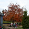 IMG_2828_resize.JPG