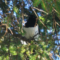 IMG_2864.jpg