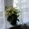 IMG_2869.jpg
