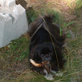 DSCF0042.JPG