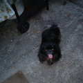 DSCF0081.JPG