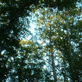 DSCF0098.JPG