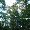 DSCF0107.JPG
