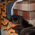 DSCF0134.JPG