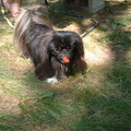 DSCF0147.JPG