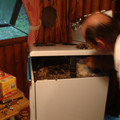 DSCF0197.JPG