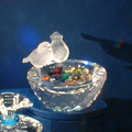 DSCF0011.JPG