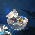 DSCF0012.JPG