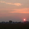 pink_sun.JPG