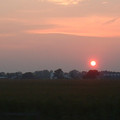 pinksun2.JPG