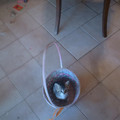DSCF0006.JPG