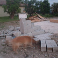 DSCF0008 (2).JPG