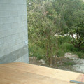 DSCF0032.JPG