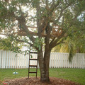 DSCF0047.JPG