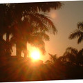 DSCF0082.JPG