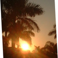 DSCF0083.JPG