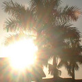 DSCF0105.JPG
