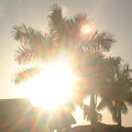 DSCF0108.JPG