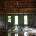 mosquito_asylum_3.JPG