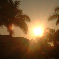 sunHalo.JPG