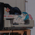 DSCF0004B.jpg