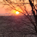 20230103_163509.jpg